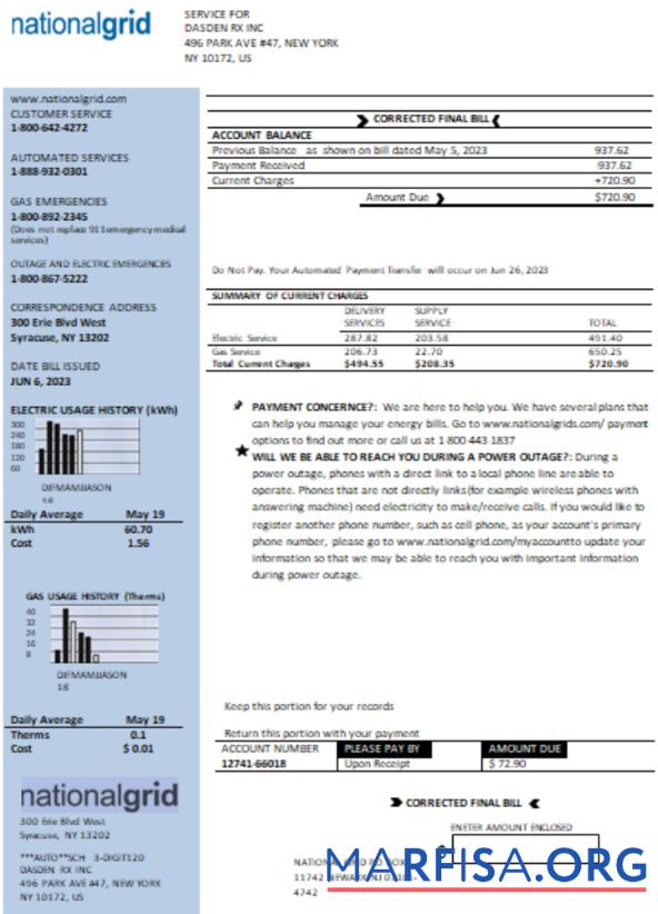 Printable New York National Grid utility business bill, Word and PDF template SCR